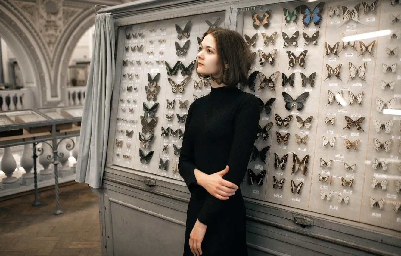 Photo wallpaper butterfly, dress, the beauty, showcase