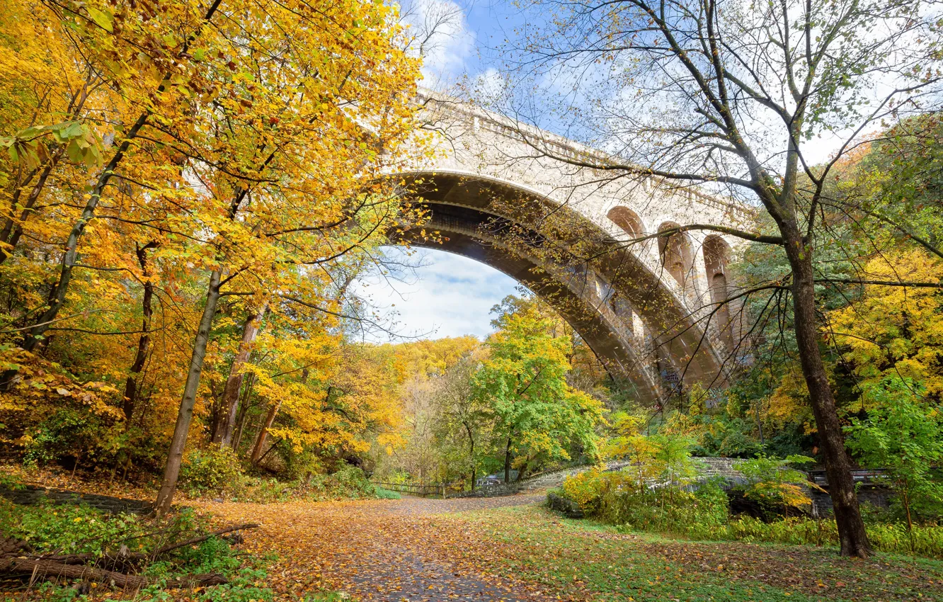 Photo wallpaper photo, Nature, Autumn, Trees, Leaves, Park, USA, Bridges