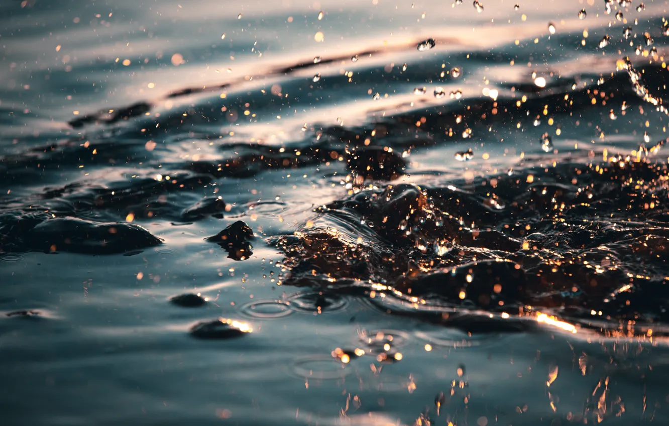 Photo wallpaper lights, water, bokeh, drops