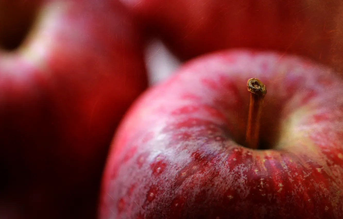 Photo wallpaper macro, apples, harvest, fruit