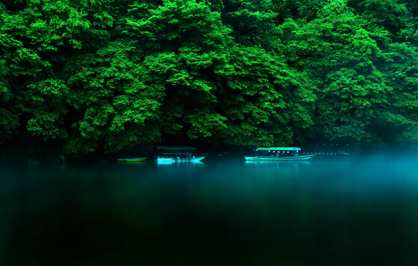 Photo wallpaper Japan, Japan, Kyoto, Kyoto, The Kansai Region, Kyoto Prefecture, 近畿地方, The Kyoto Prefecture