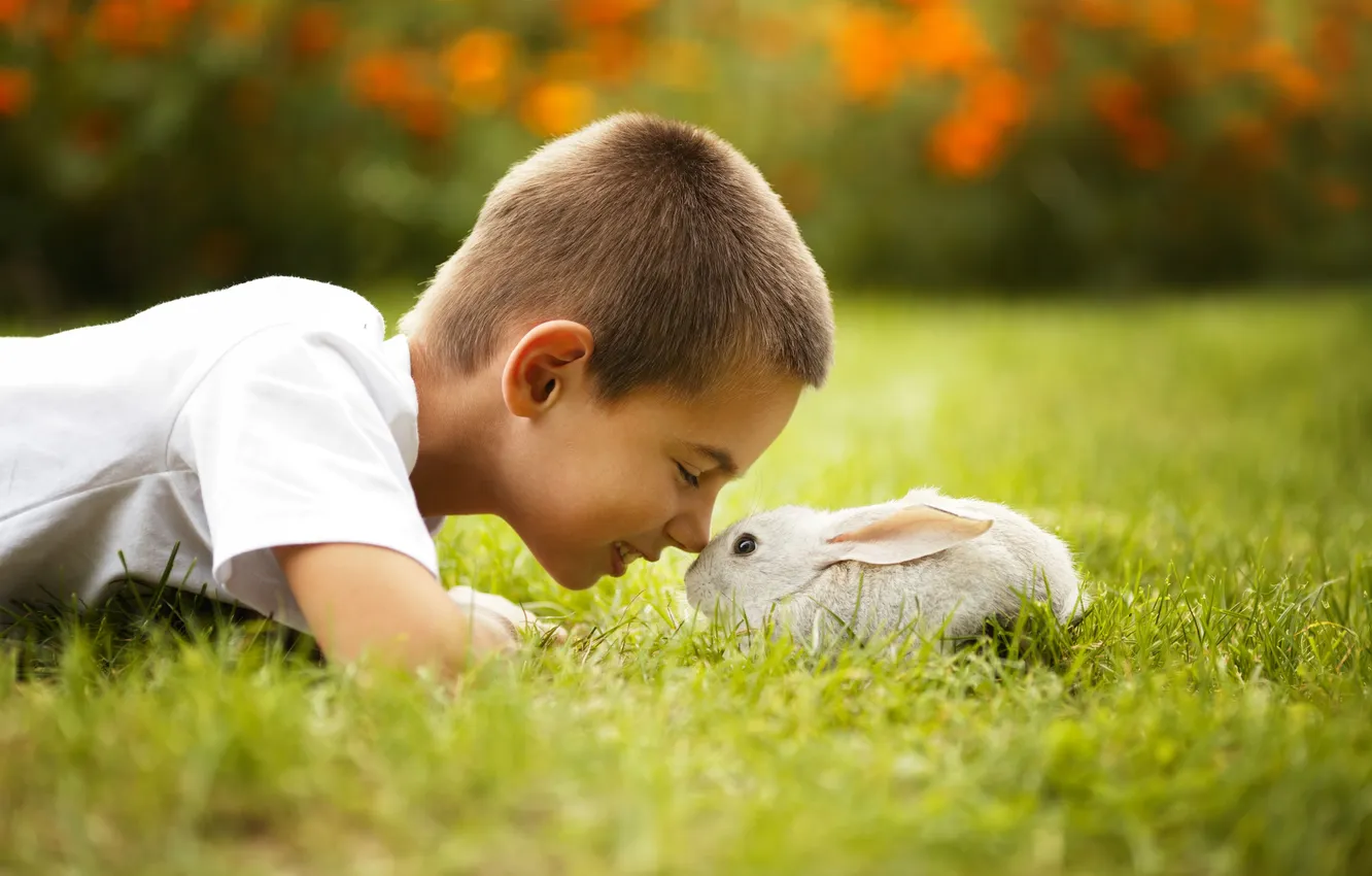 Photo wallpaper grass, smile, boy, rabbit