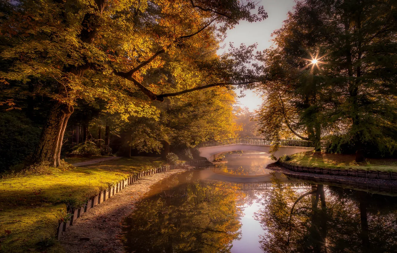 Photo wallpaper trees, landscape, nature, pond, Park, track, Netherlands, the bridge
