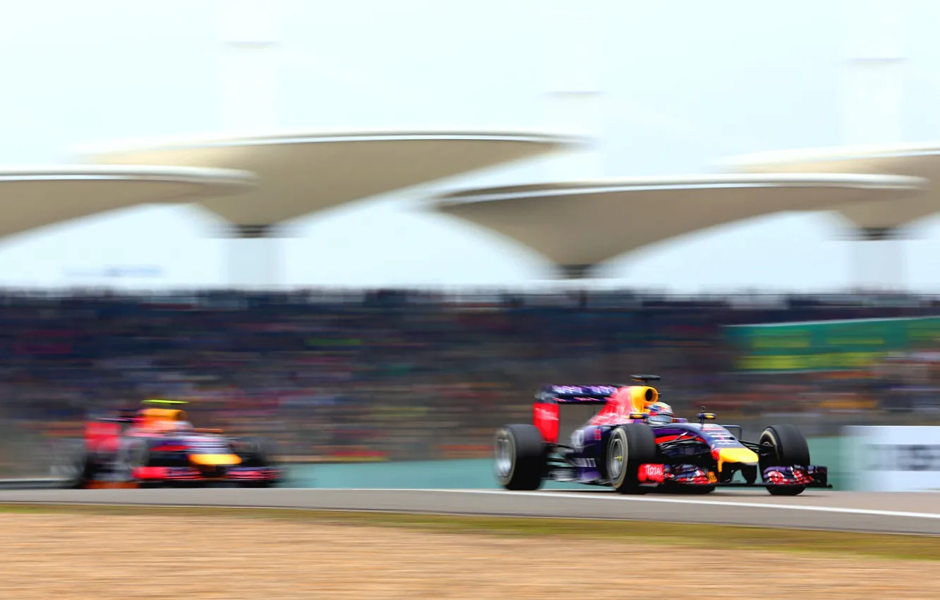 Photo wallpaper Racer, Formula 1, Red Bull, Vettel, Champion, Sebastian, RB10
