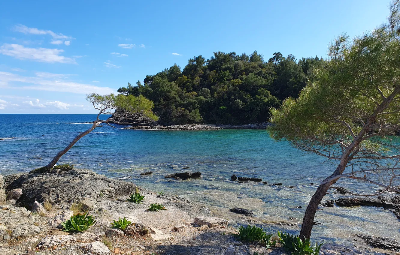 Photo wallpaper sea, the sky, stones, rocks, pine