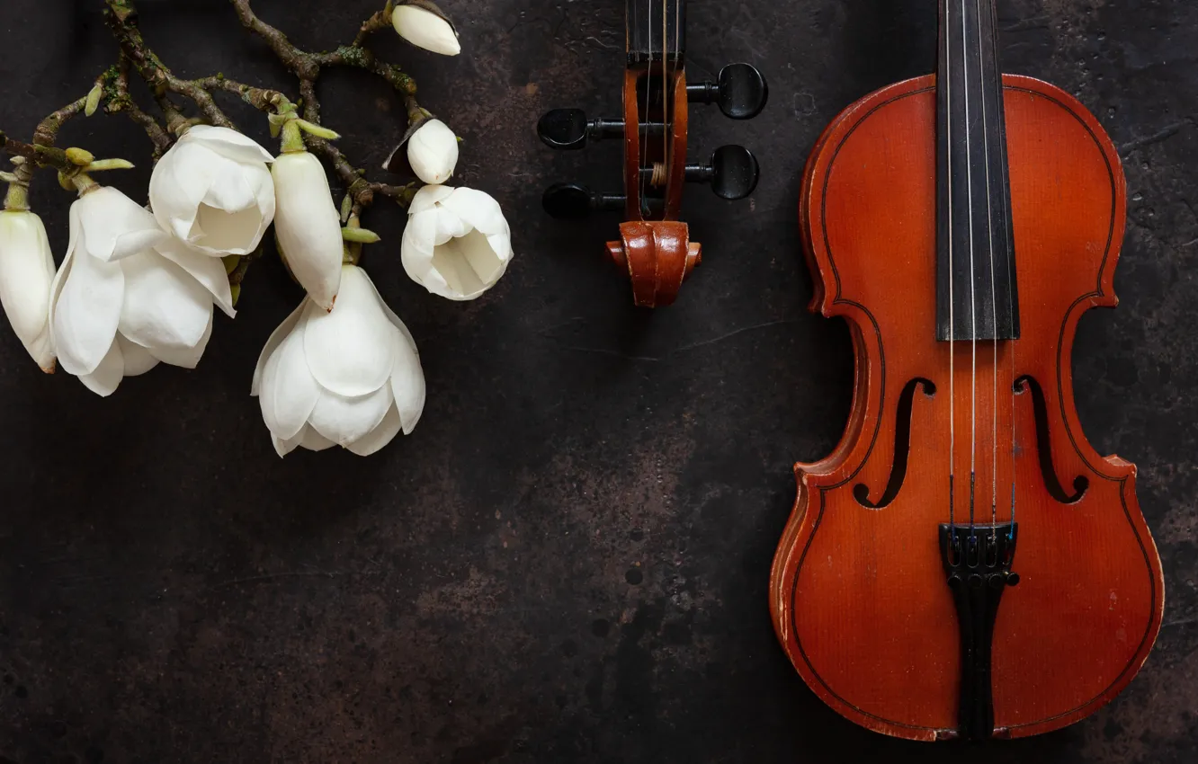 Photo wallpaper flowers, violin, Magnolia