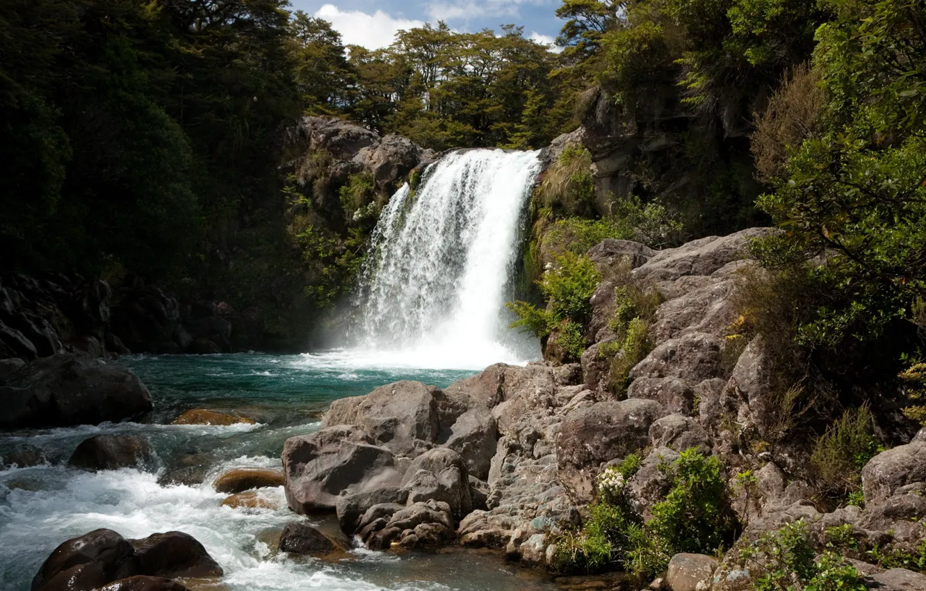 Photo wallpaper forest, river, stones, rocks, waterfall, New Zealand
