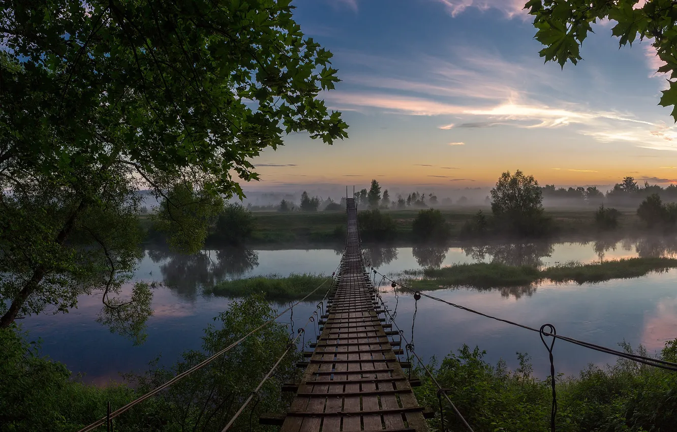 Photo wallpaper trees, landscape, bridge, nature, fog, river, dawn, morning