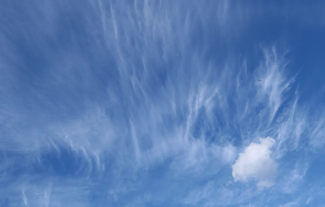 Photo wallpaper summer, the sky, clouds, blue