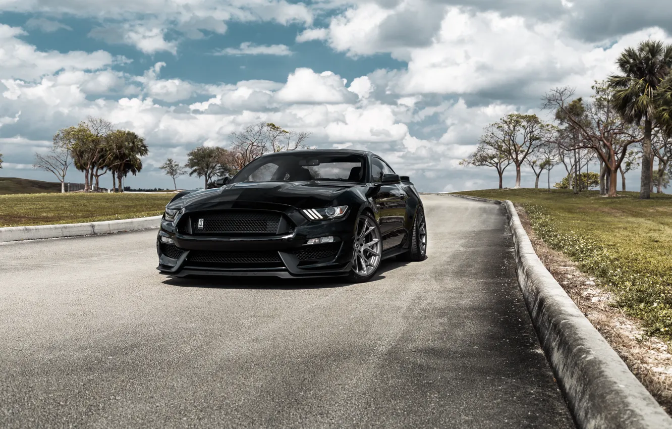 Photo wallpaper Mustang, Ford, Shelby, GT500, Black, Sight