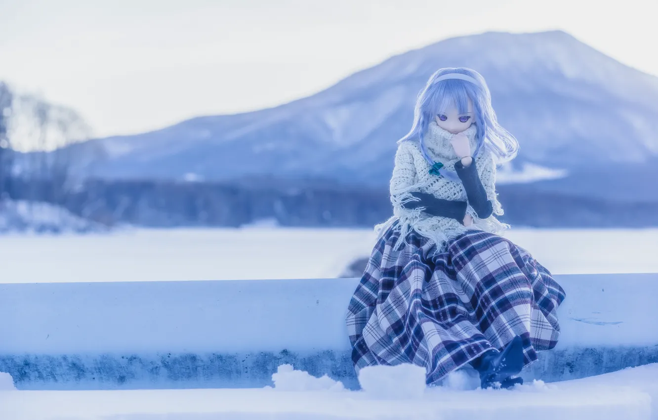 Photo wallpaper winter, nature, toy, doll