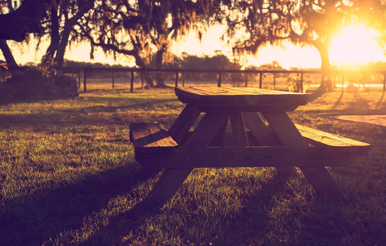 Photo wallpaper summer, grass, the sun, light, sunset, bench, Park, heat