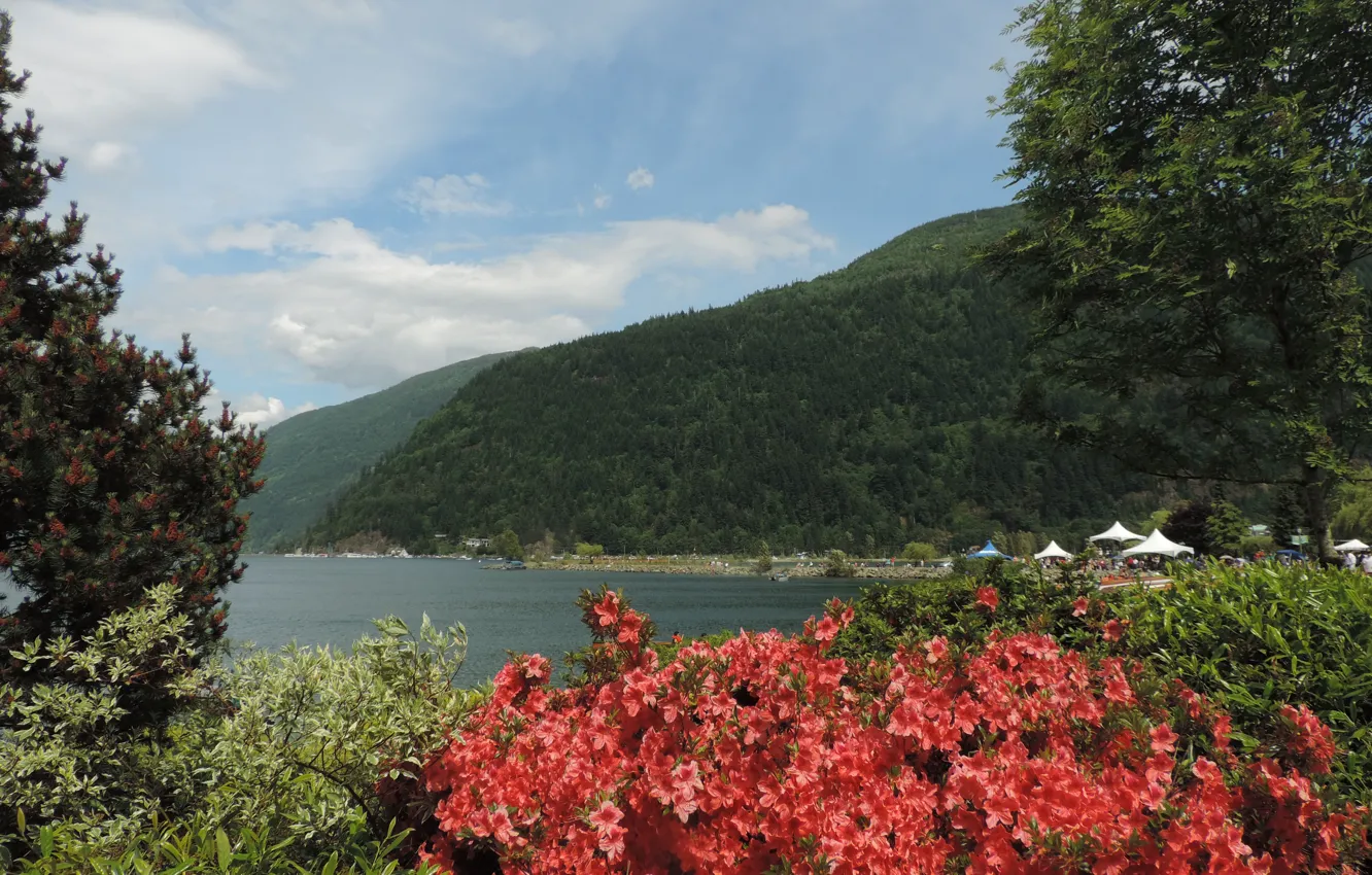 Photo wallpaper mountains, nature, lake, nature, mountain, lake, scenery