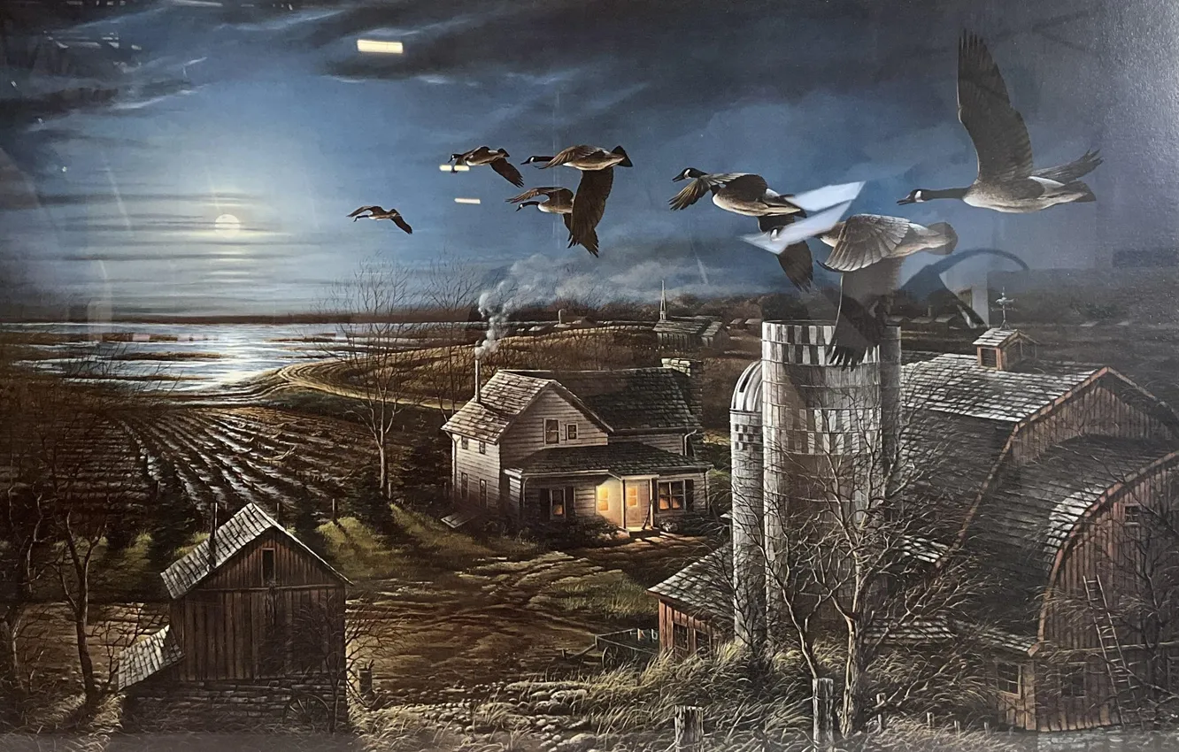 Photo wallpaper Home, Night, Birds, Picture, Terry Redlin, American illustrator, Terry Redlin, Night flight