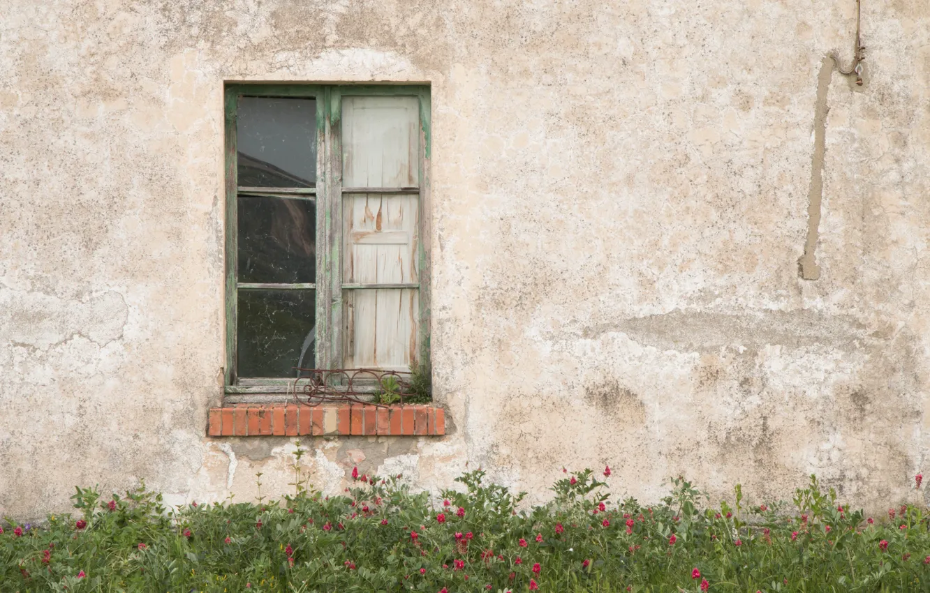 Photo wallpaper house, flowers, garden, window, abandoned