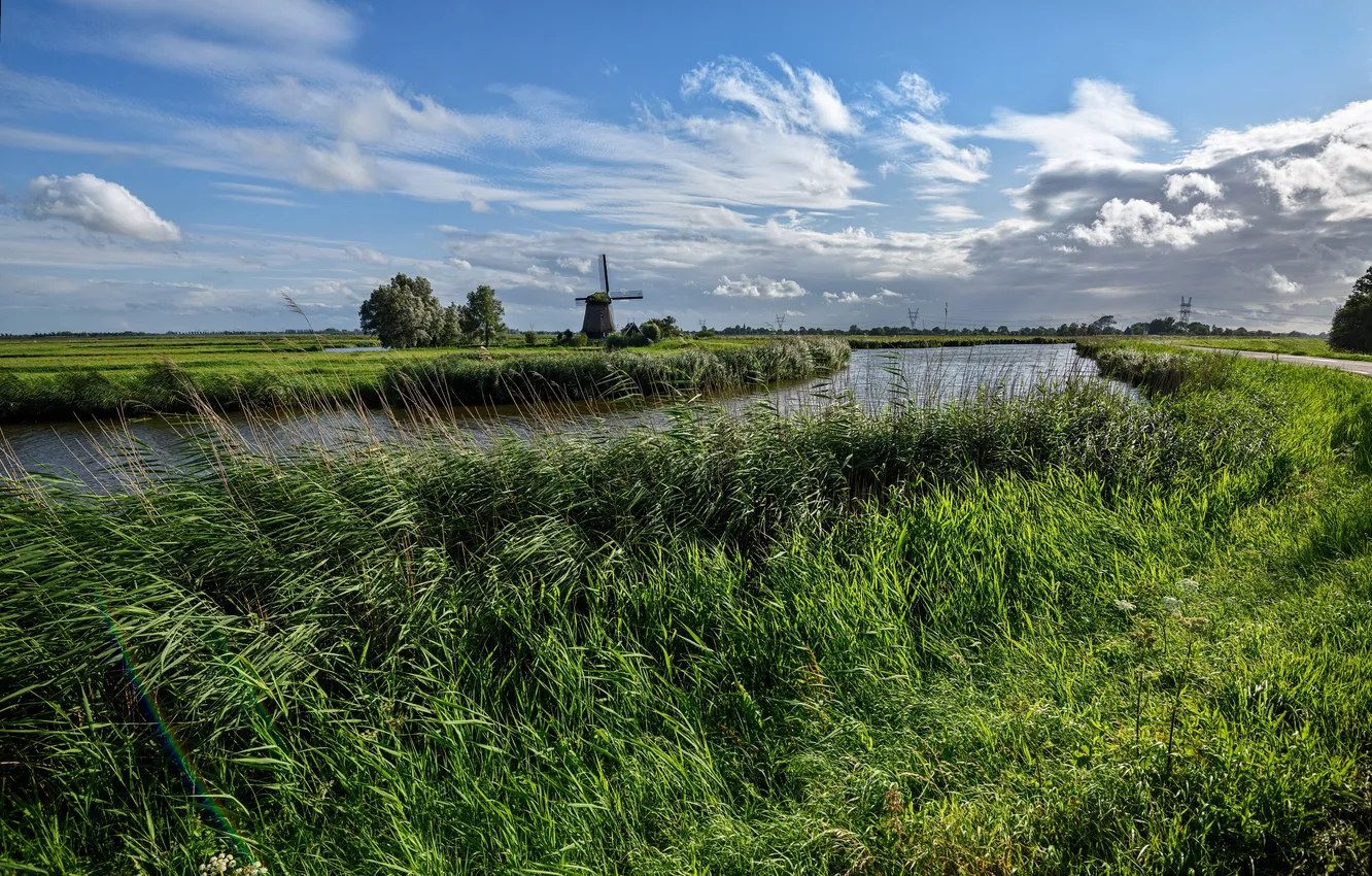 Photo wallpaper grass, field, mill, river, Netherlands, Edam