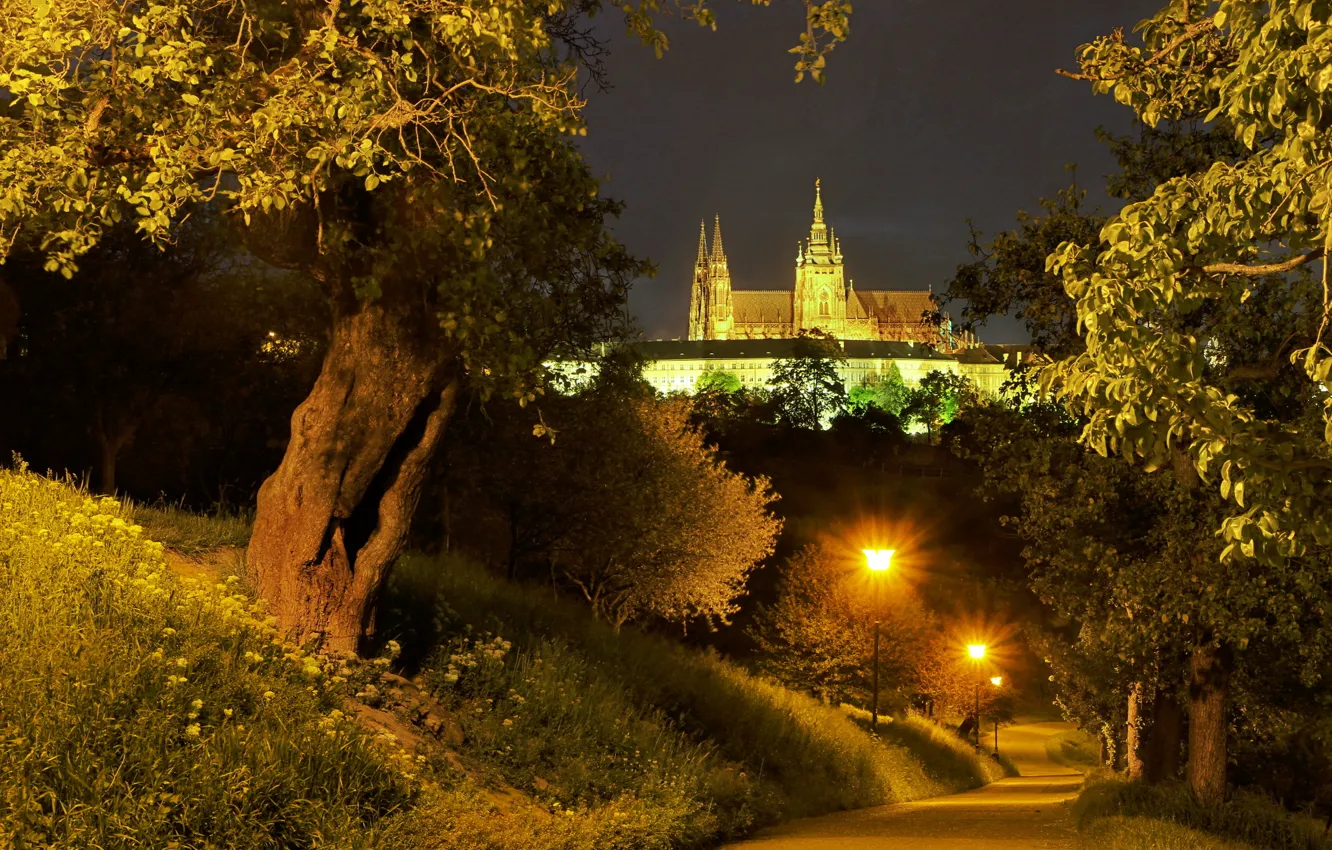 Photo wallpaper road, trees, night, lights, Prague, Czech Republic, lights, Palace