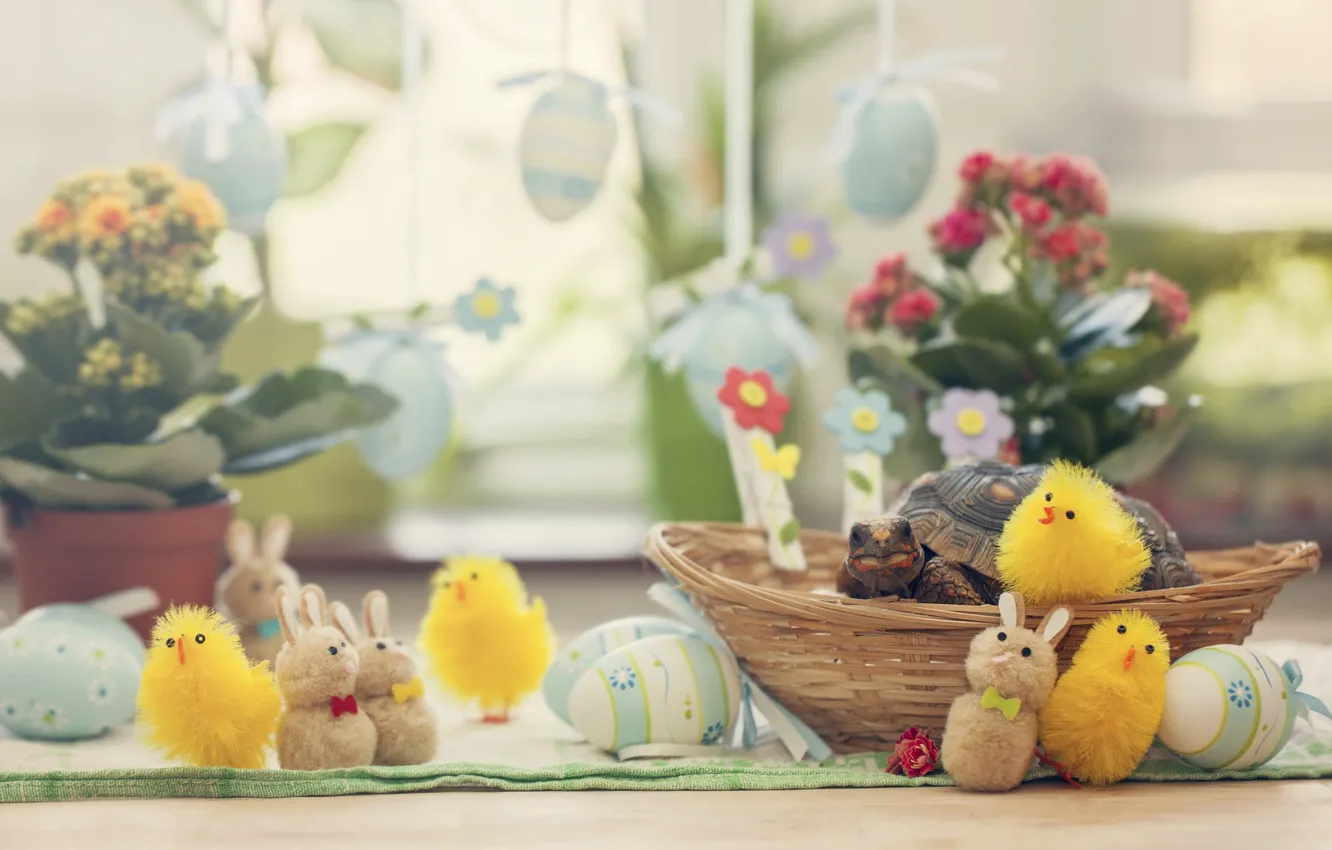 Photo wallpaper light, flowers, holiday, toy, chickens, turtle, eggs, towel