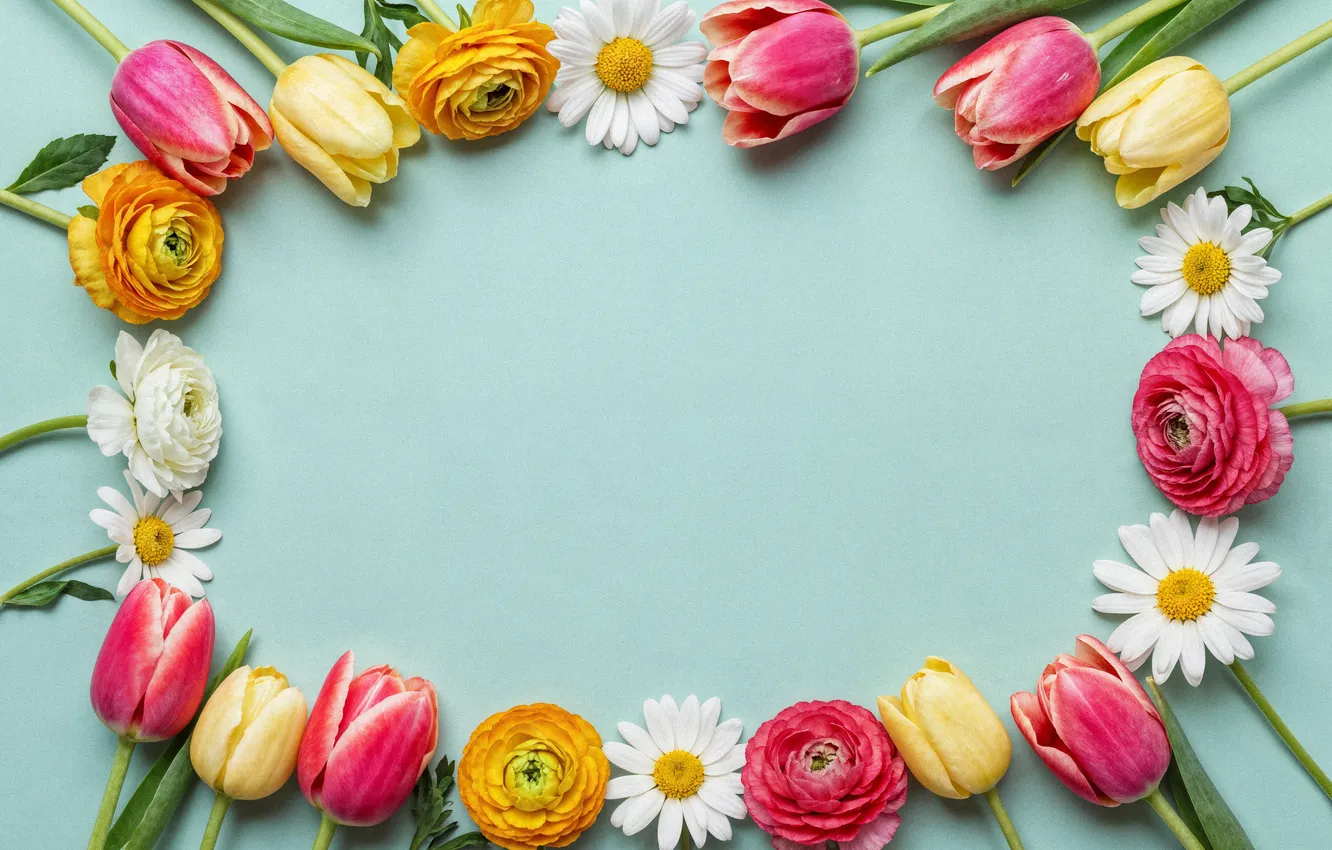 Photo wallpaper flowers, frame, colorful, flowers, tulips, spring, frame, floral