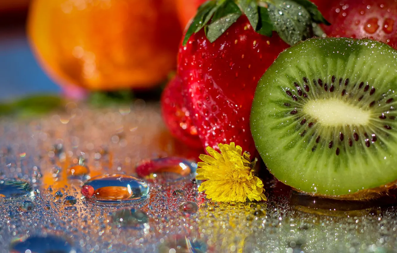 Photo wallpaper drops, flowers, dandelion, kiwi, strawberry