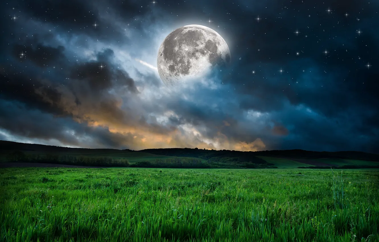 Photo wallpaper the sky, grass, stars, nature, the moon