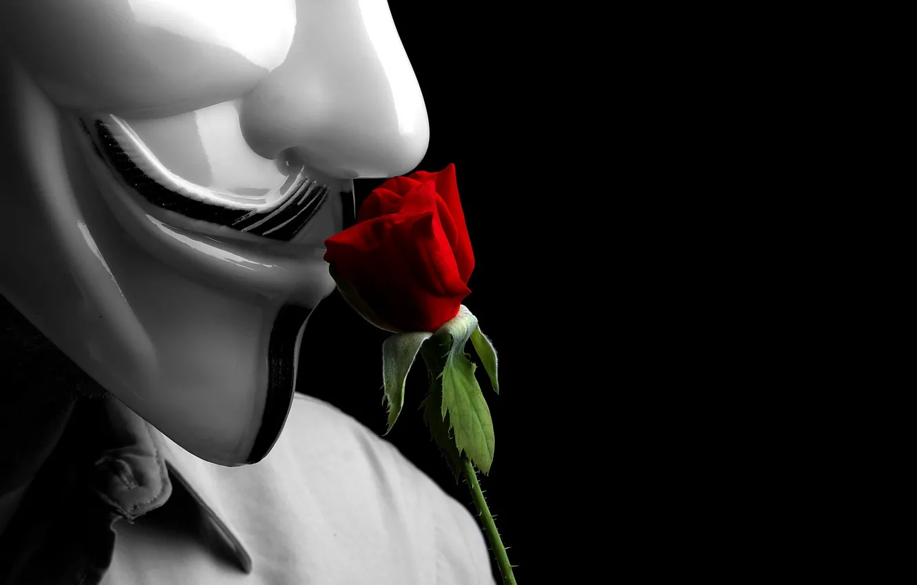 Photo wallpaper background, rose, mask