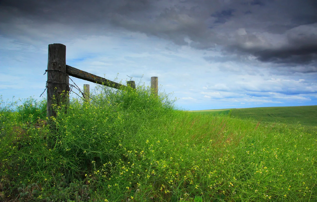 Photo wallpaper the sky, grass, clouds, the fence