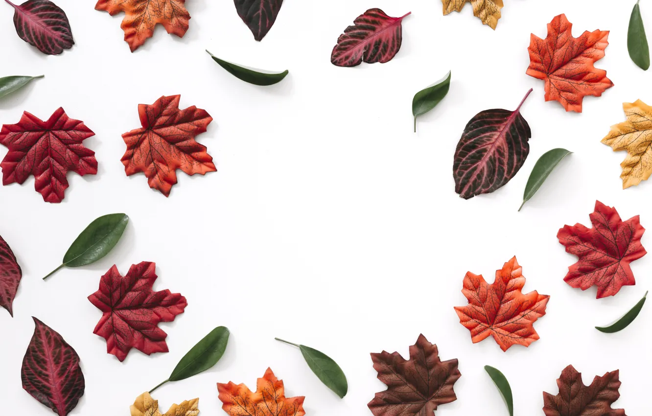 Photo wallpaper autumn, leaves, background, colorful, background, autumn, leaves, autumn