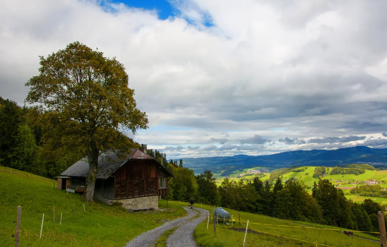Photo wallpaper road, trees, mountains, hills, home, Switzerland, slope, Wattenwil