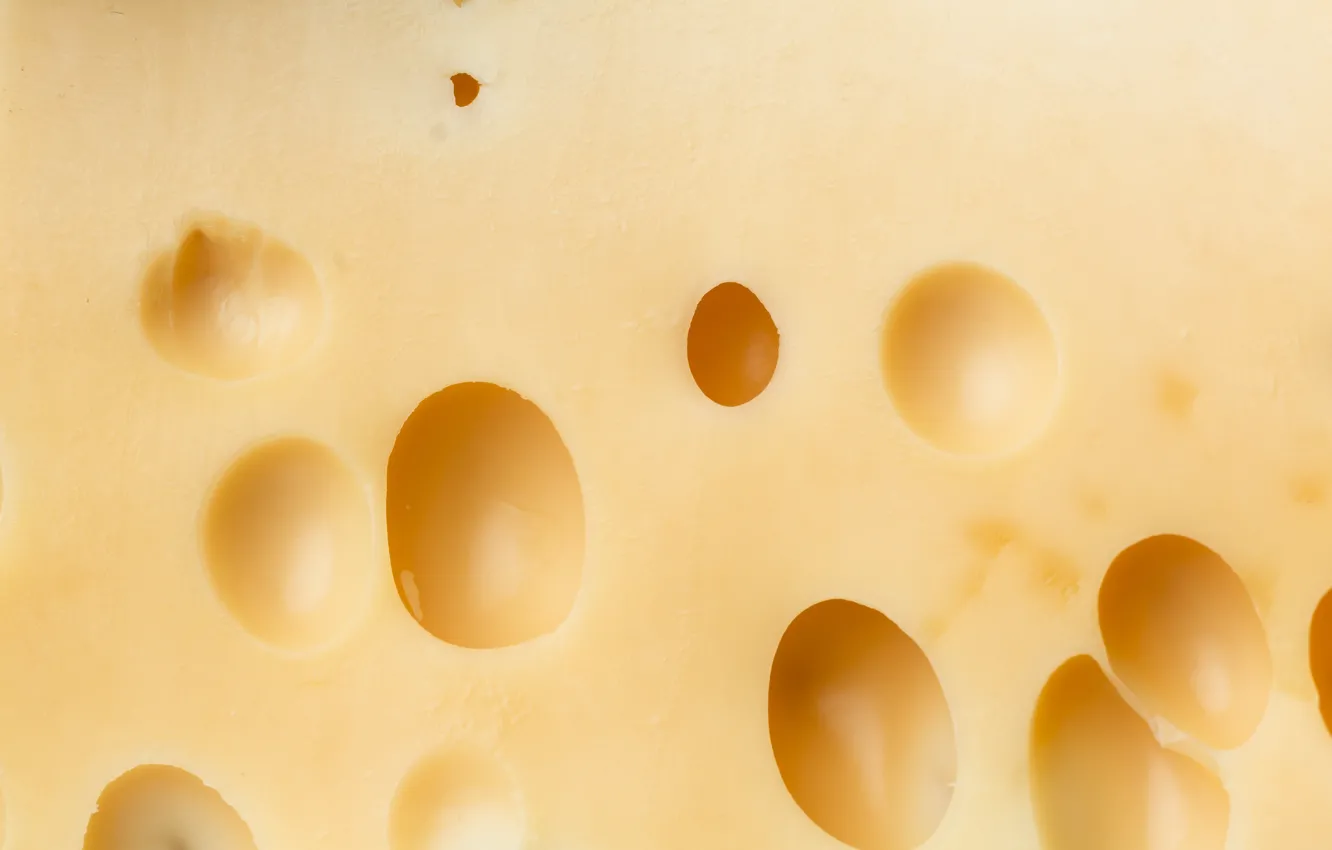 Photo wallpaper macro, food, cheese, holes, cheese background