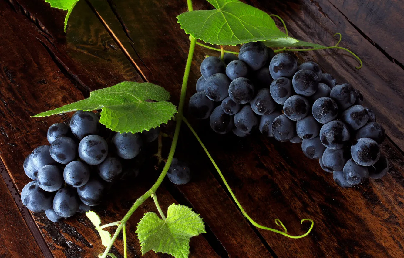 Photo wallpaper leaves, blue, the dark background, Board, grapes, vine, bunch of grapes