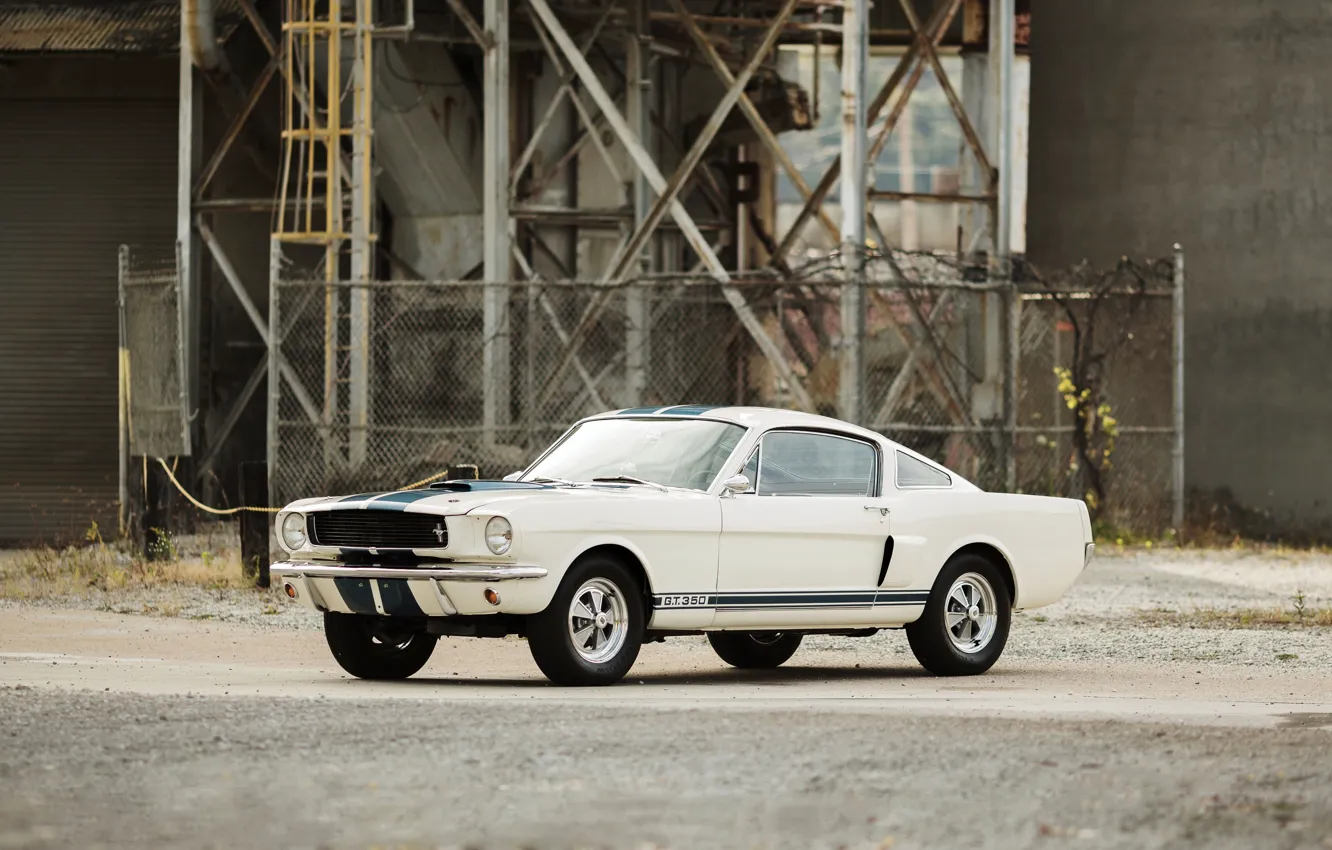 Photo wallpaper Mustang, Ford, Shelby, Mustang, Ford, Shelby, 1966, GT350
