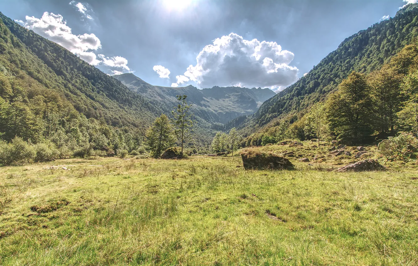 Photo wallpaper photo, Nature, Mountains, Grass, Trees, Alps, Italy