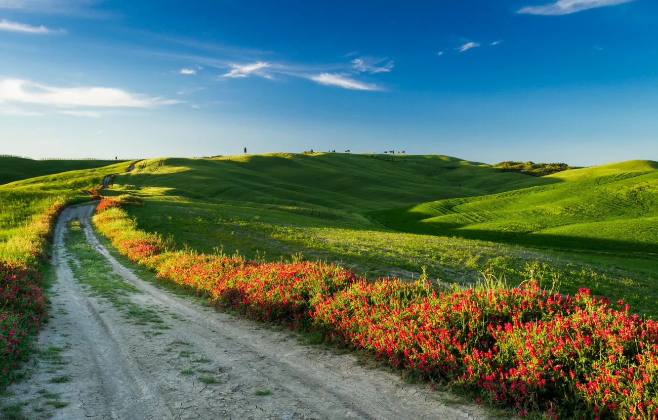 Photo wallpaper road, field, landscape, Italy, Tuscany
