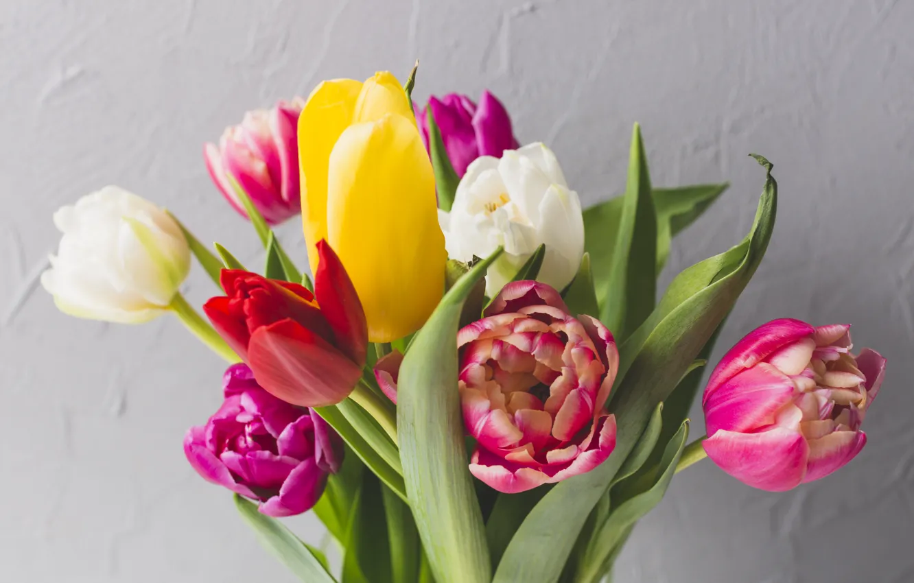 Photo wallpaper flowers, bright, bouquet, spring, colorful, tulips, fresh, flowers