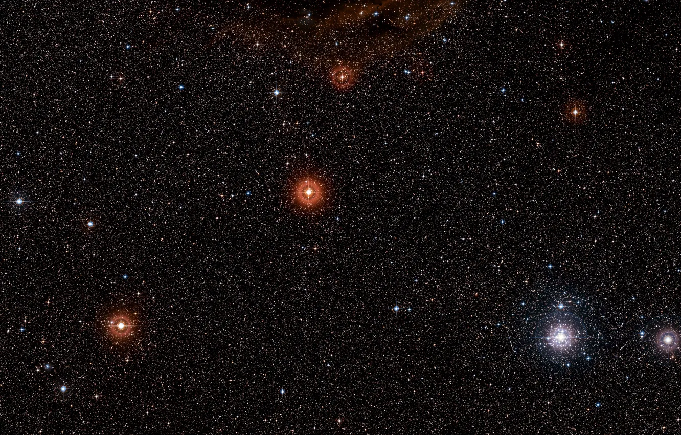 Photo wallpaper stars, Wide Field View, Digitized Sky Survey 2, Constellation Canis Major, VY Canis Majoris, Tau …