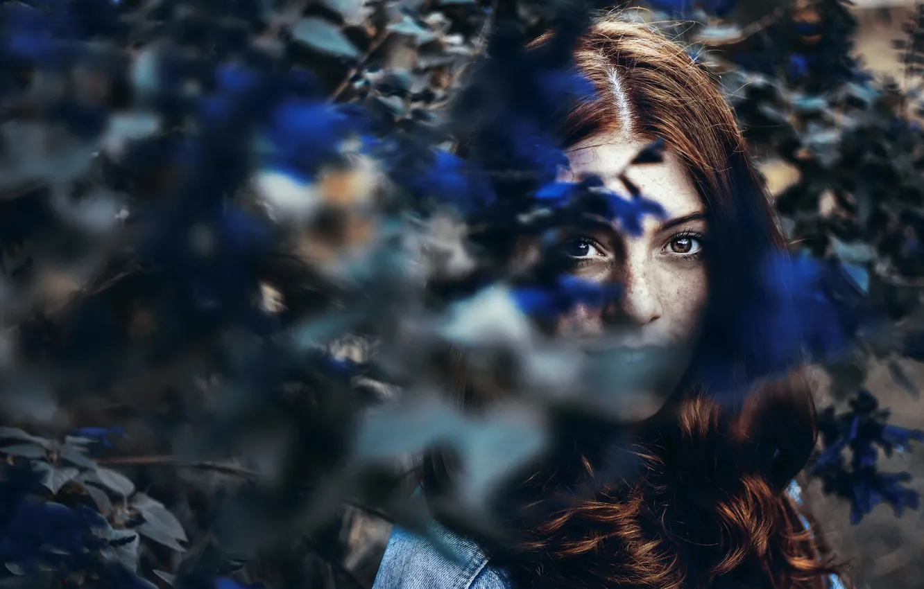 Photo wallpaper look, girl, portrait