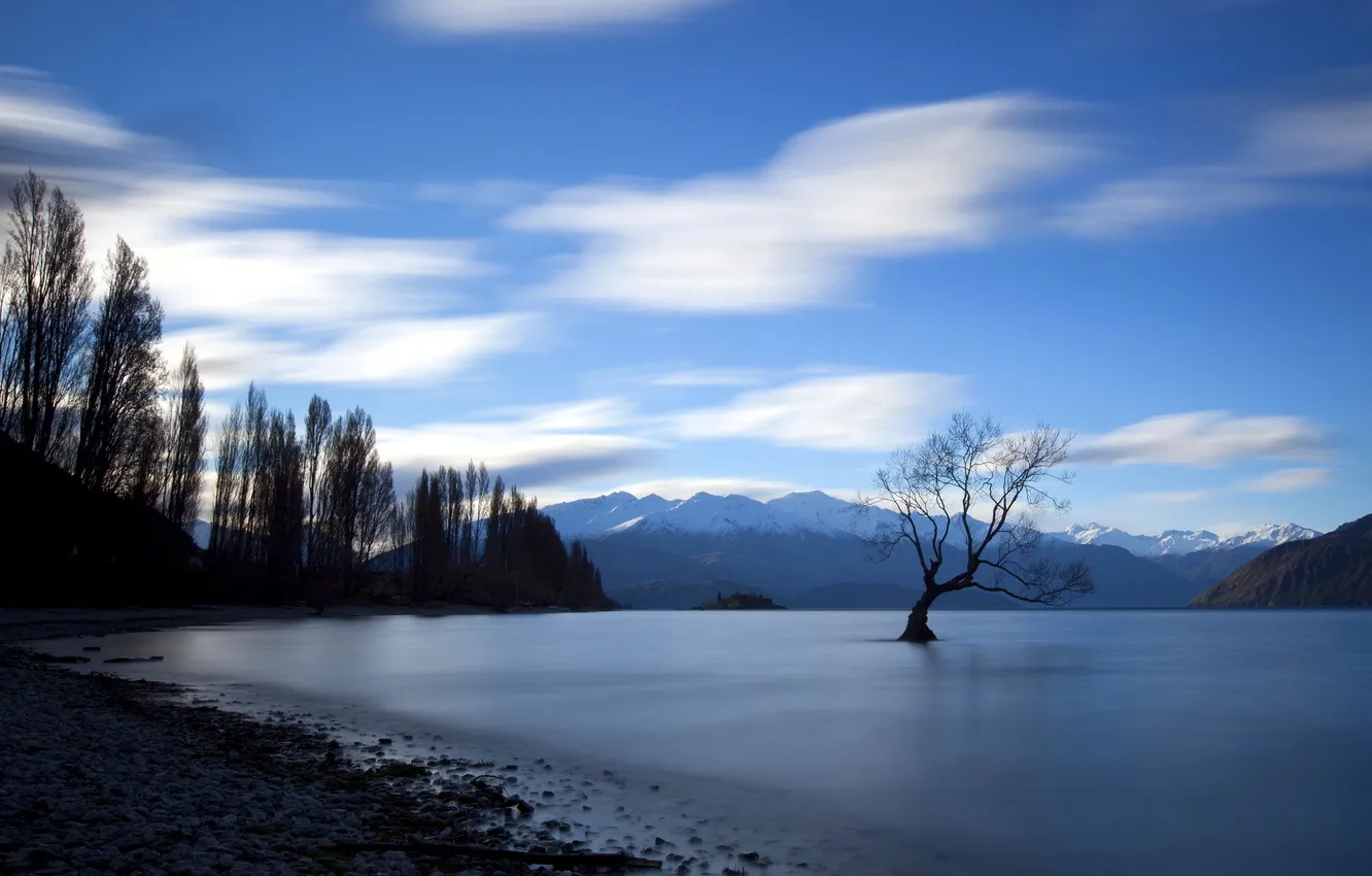 Photo wallpaper trees, landscape, sunset, lake