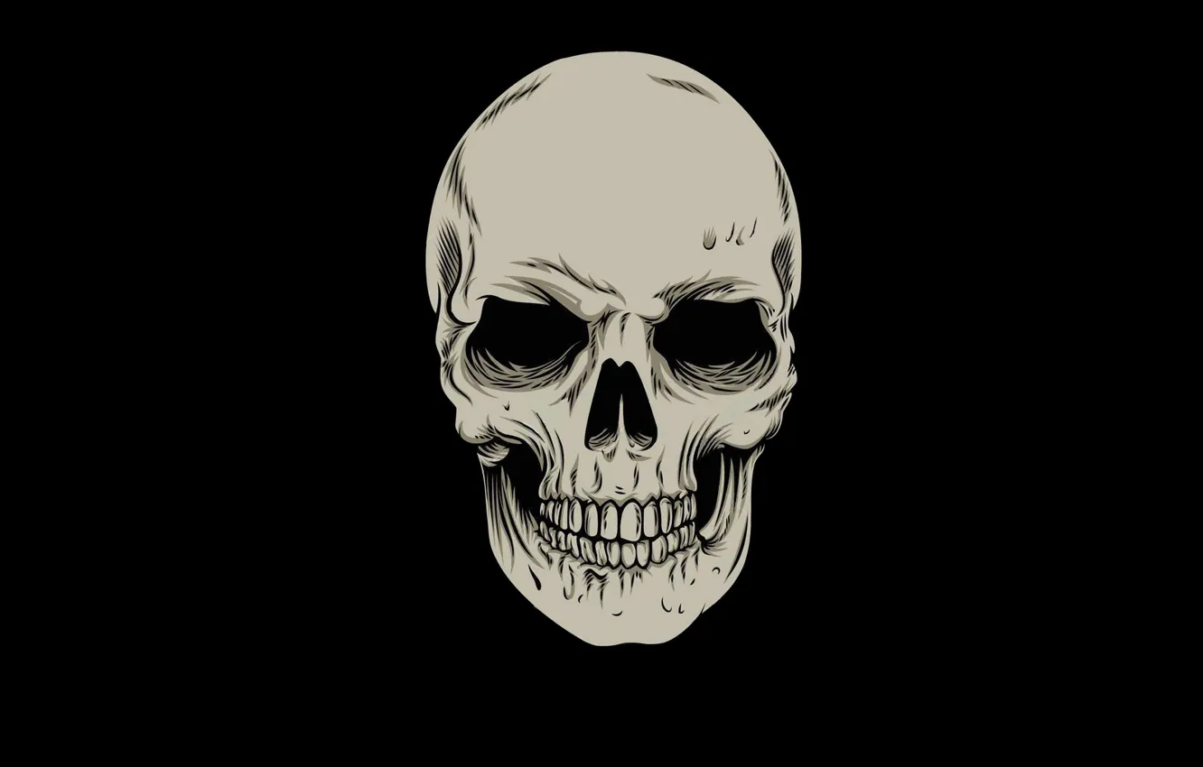 Photo wallpaper skull, minimalism, head, skeleton, sake, black background