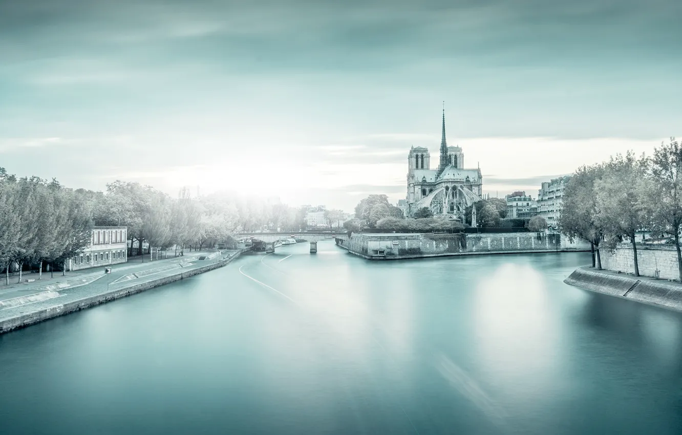 Photo wallpaper trees, bridge, France, Paris, Hay, sunlight, Notre Dame