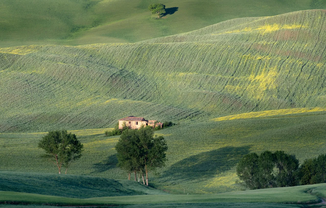 Photo wallpaper field, hills, home, Italy, Tuscany