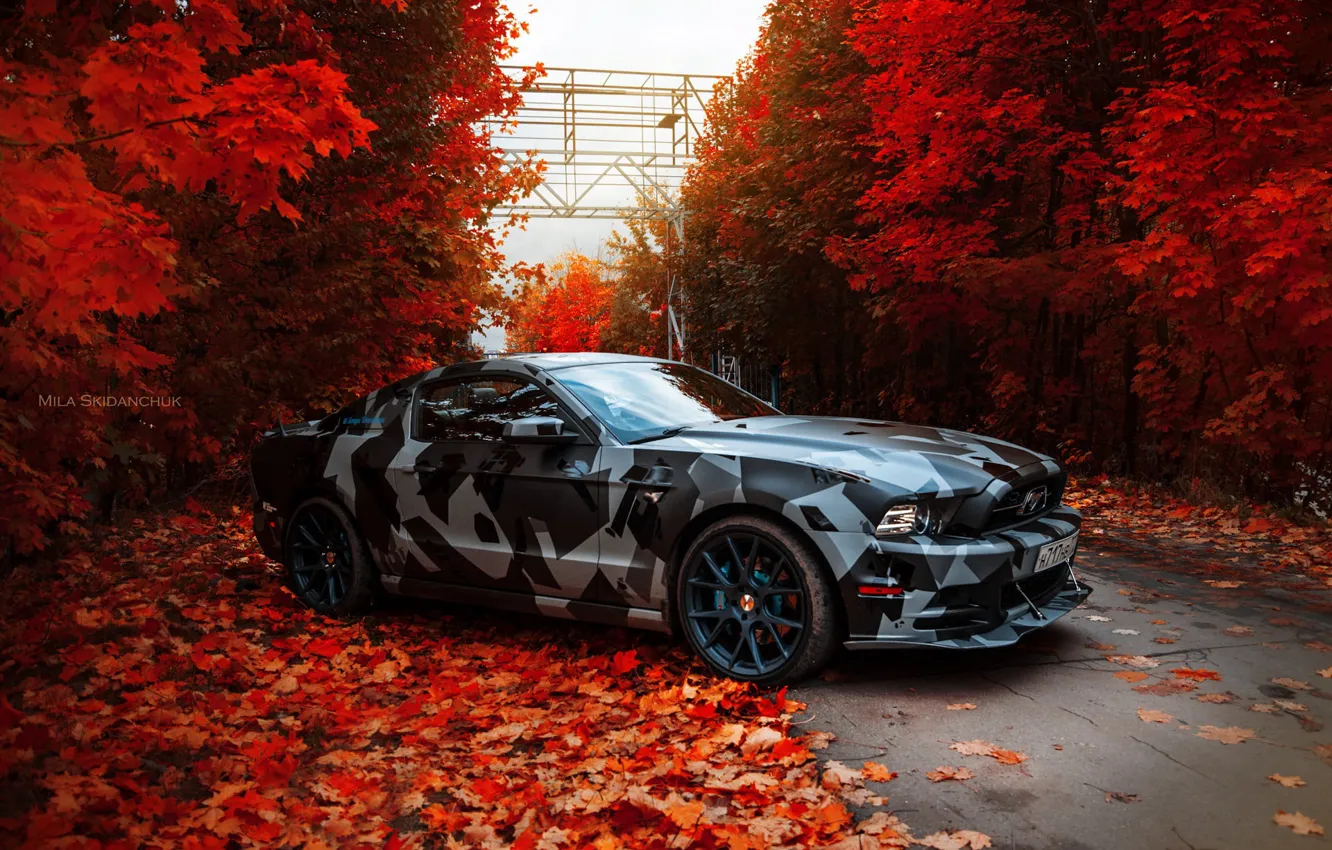 Photo wallpaper Mustang, Autumn, Leaves, Red, Skyline, Future, True Car