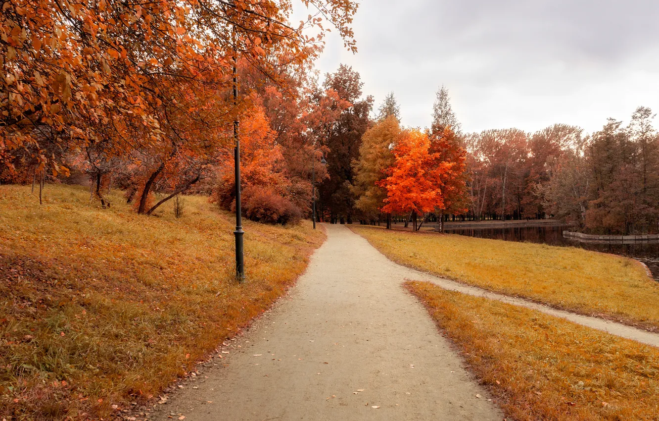 Photo wallpaper autumn, leaves, trees, Park, trail, nature, yellow, park