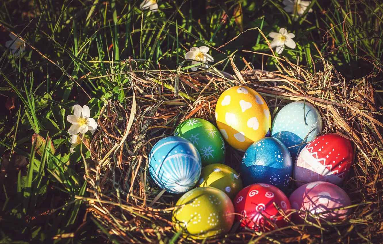 Photo wallpaper grass, light, flowers, holiday, pattern, glade, eggs, spring