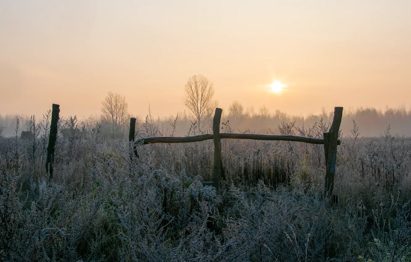 Photo wallpaper frost, field, fog, the fence, morning, log