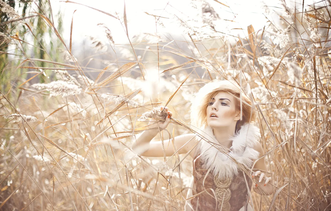 Photo wallpaper field, girl, spikelets, blonde