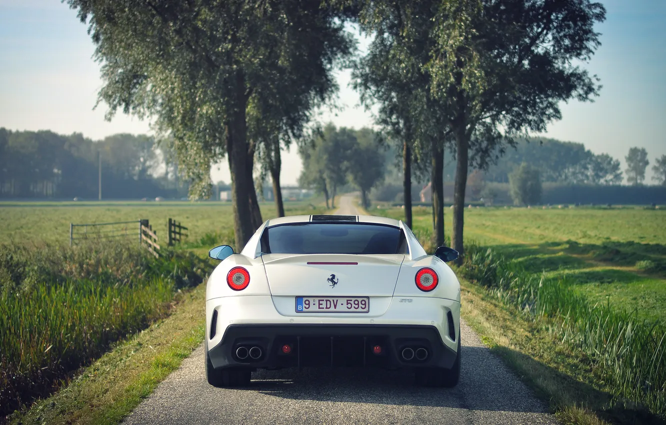 Photo wallpaper road, field, machine, auto, trees, nature, Ferrari