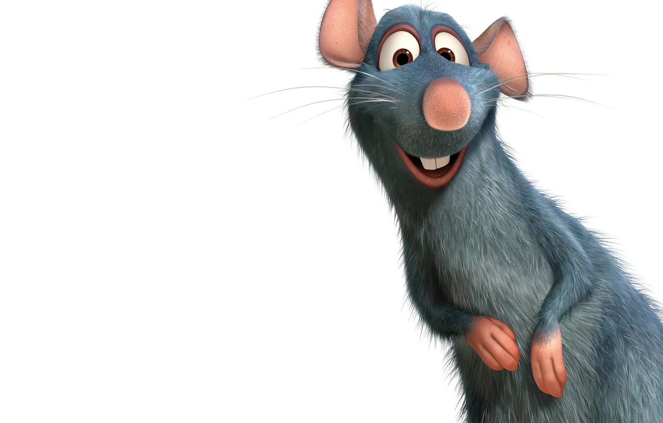 Photo wallpaper smile, Ratatouille, white background, rat, animal, Ratatouille