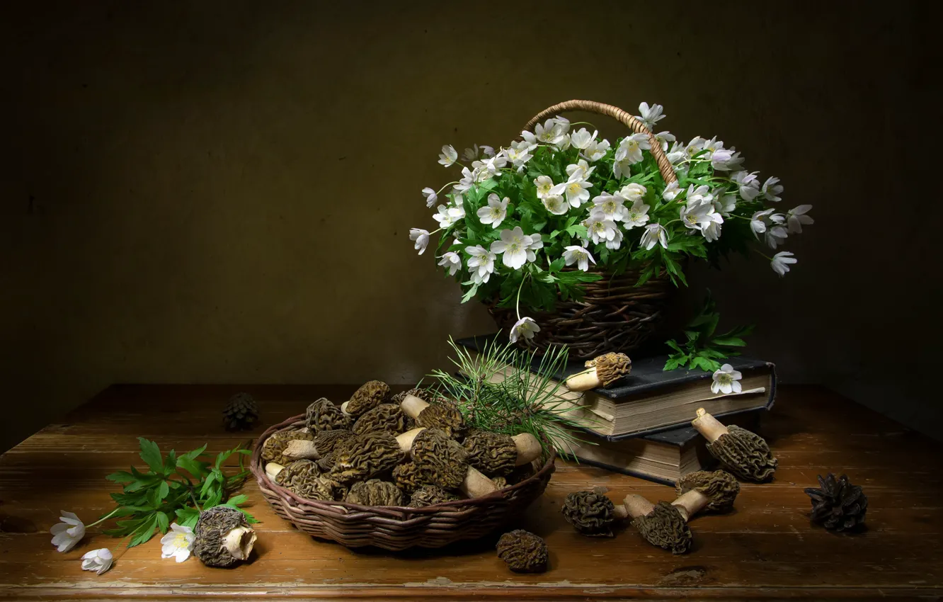 Photo wallpaper flowers, mushrooms, still life, Morel