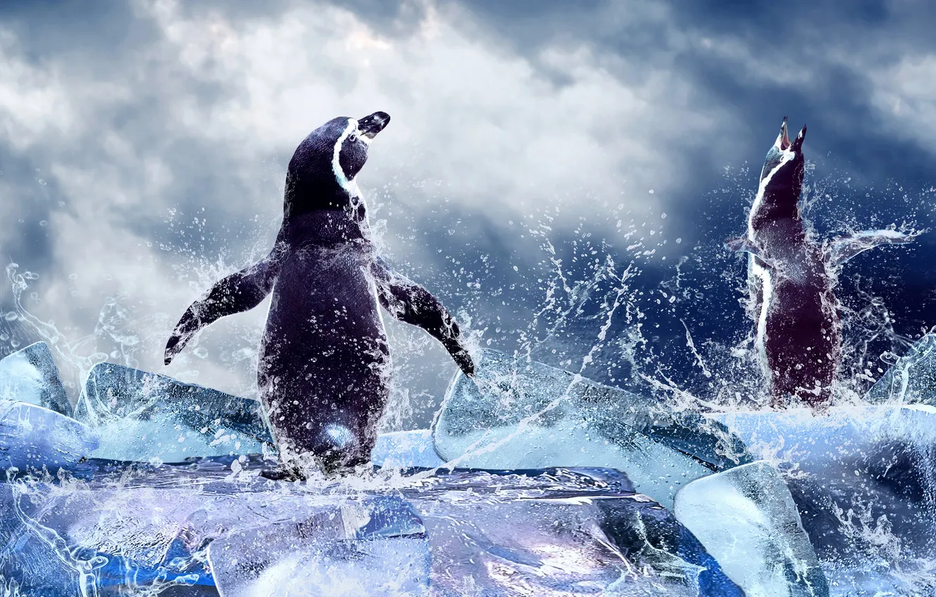 Photo wallpaper sky, sea, snow, South, season, North, Reflex, swim